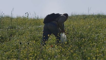 Foragers